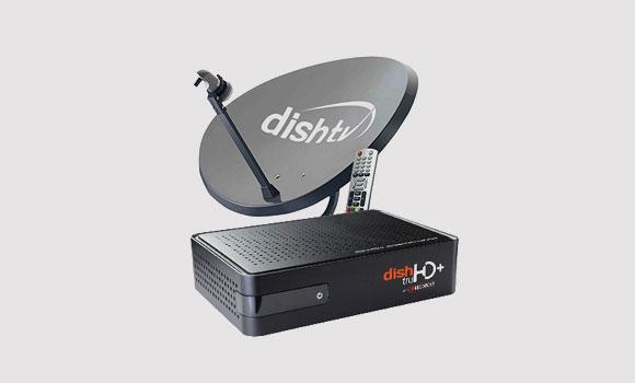 Powder coated dish antenna assembly
